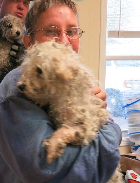 puppy_mill31.JPG